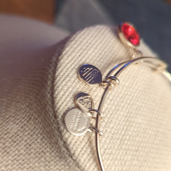 Alex and Ani Garnet (Red) color gem bracelet. Great price! Like new - Picture 3 of 4